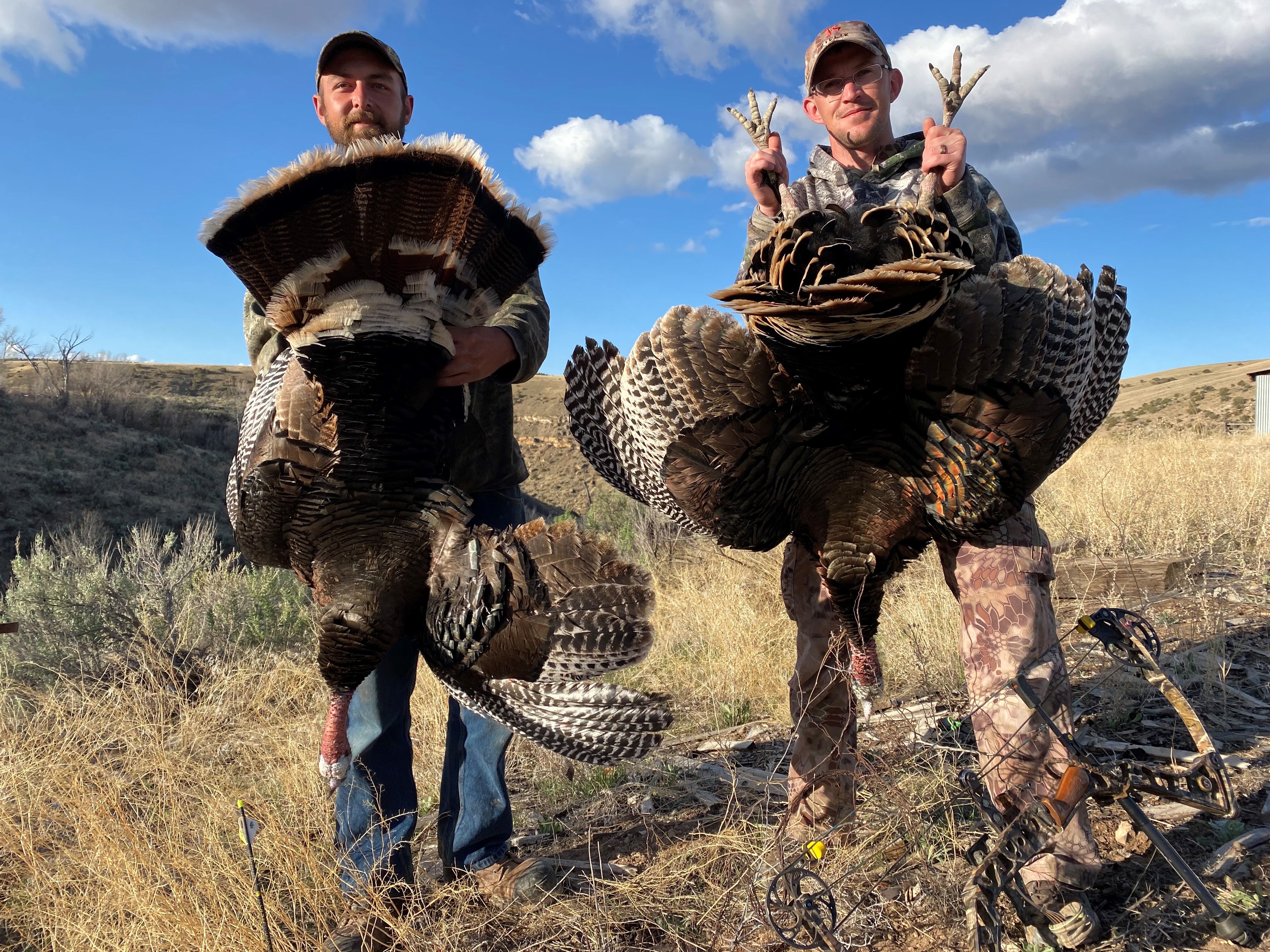 Colorado Turkey Hunting - An Unusually Great Hunt!
